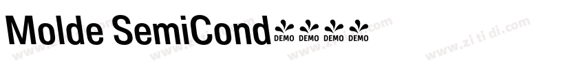 Molde SemiCond字体转换